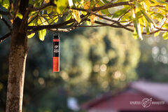 Tube hanging from a branch